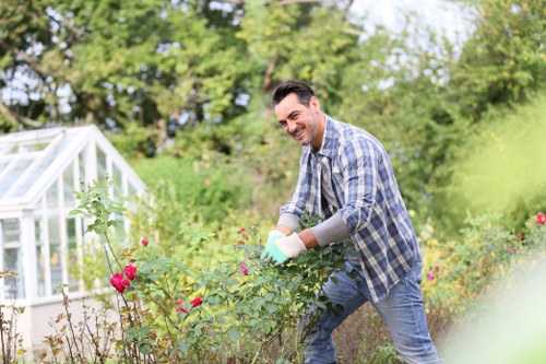 Professional tree surgery complaints procedure document